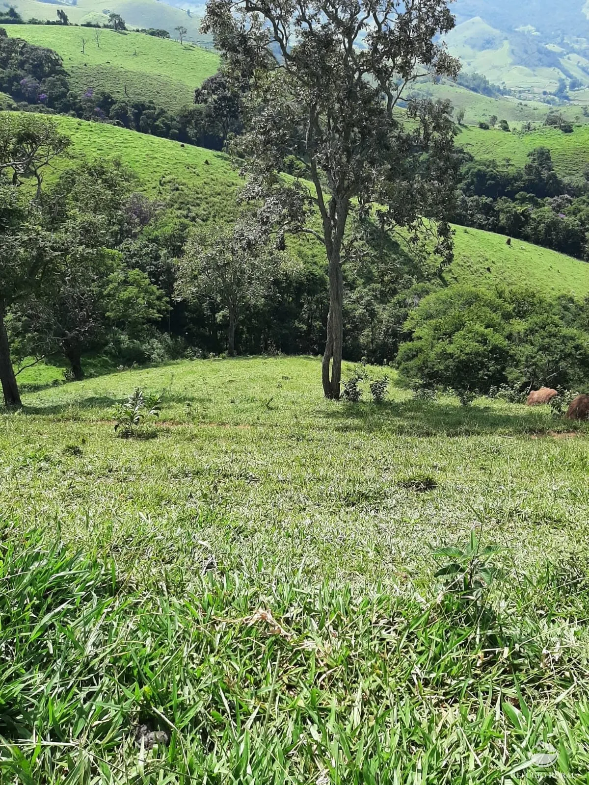 Small farm for sale of 166 acres in Pouso Alto, MG, Brazil
