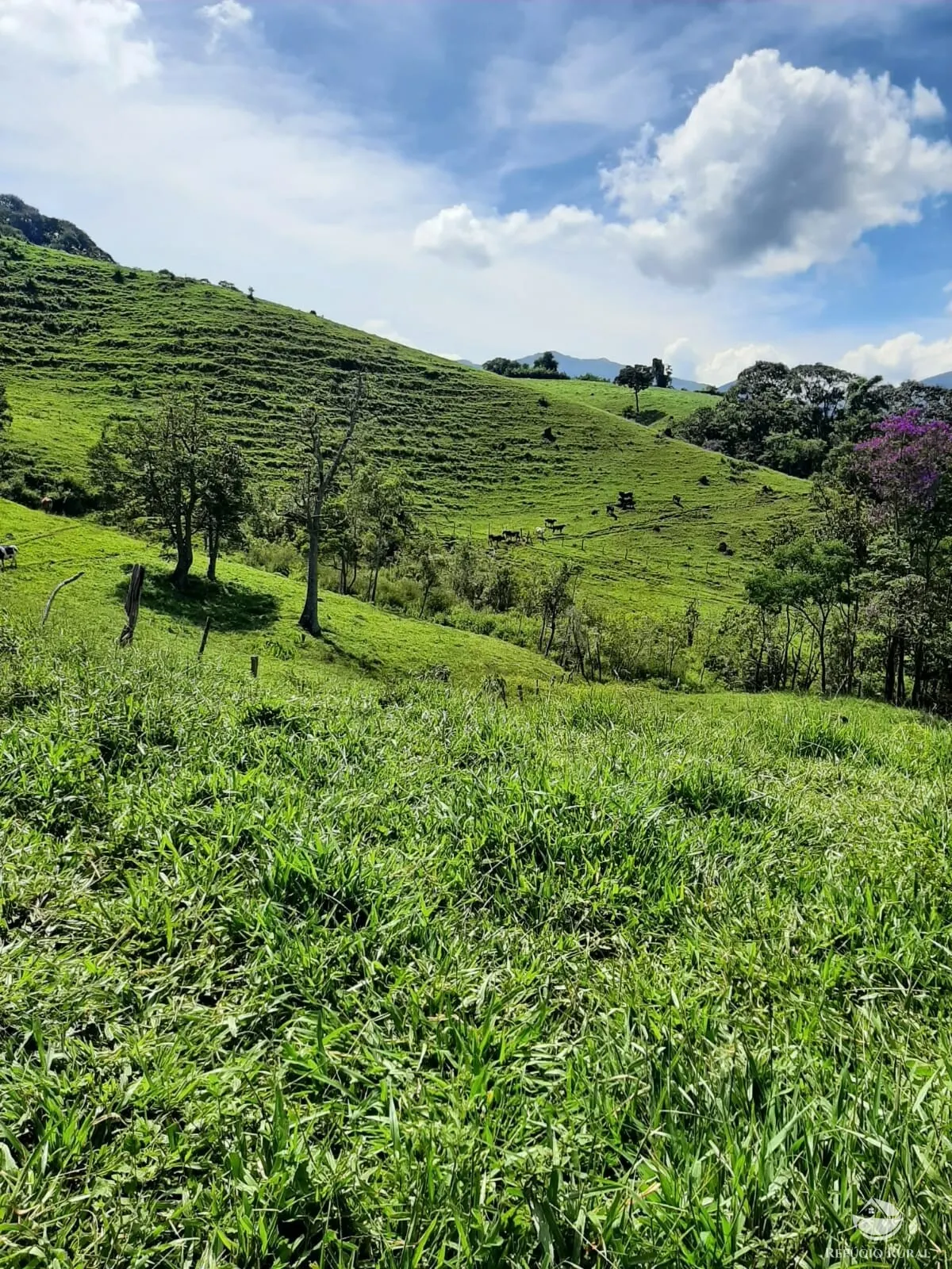 Small farm for sale of 166 acres in Pouso Alto, MG, Brazil