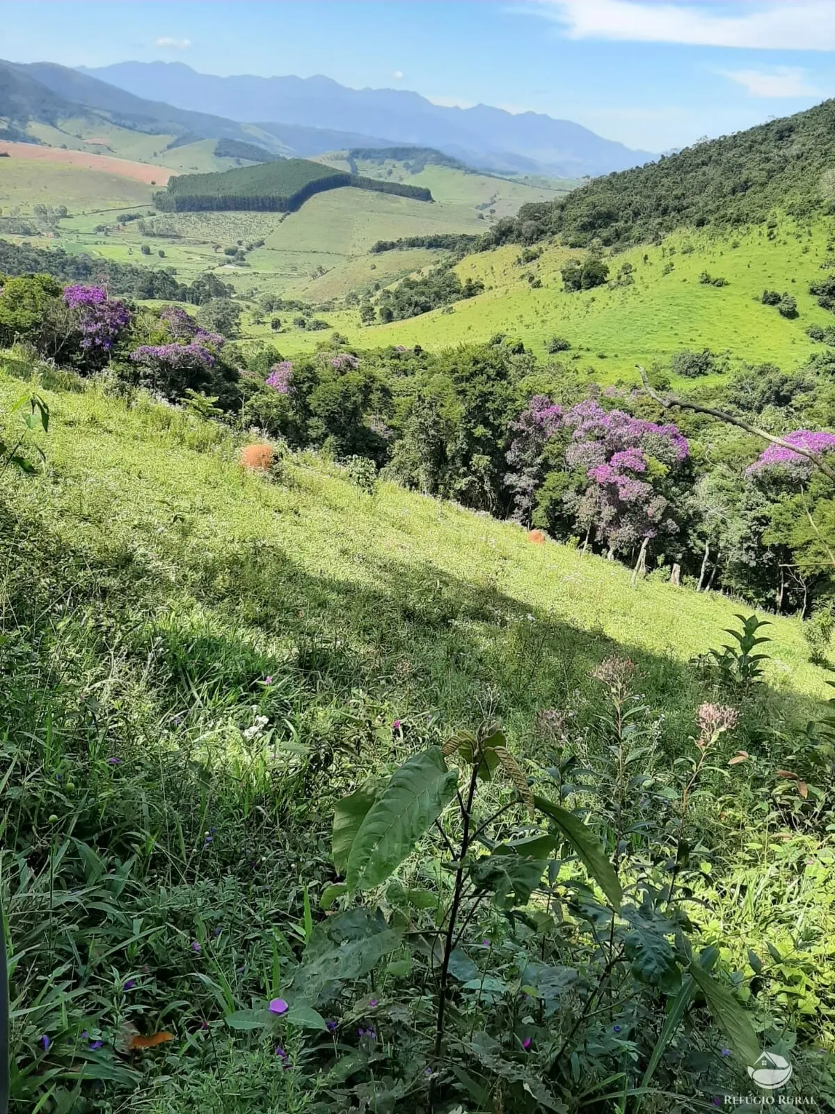 Small farm for sale of 166 acres in Pouso Alto, MG, Brazil
