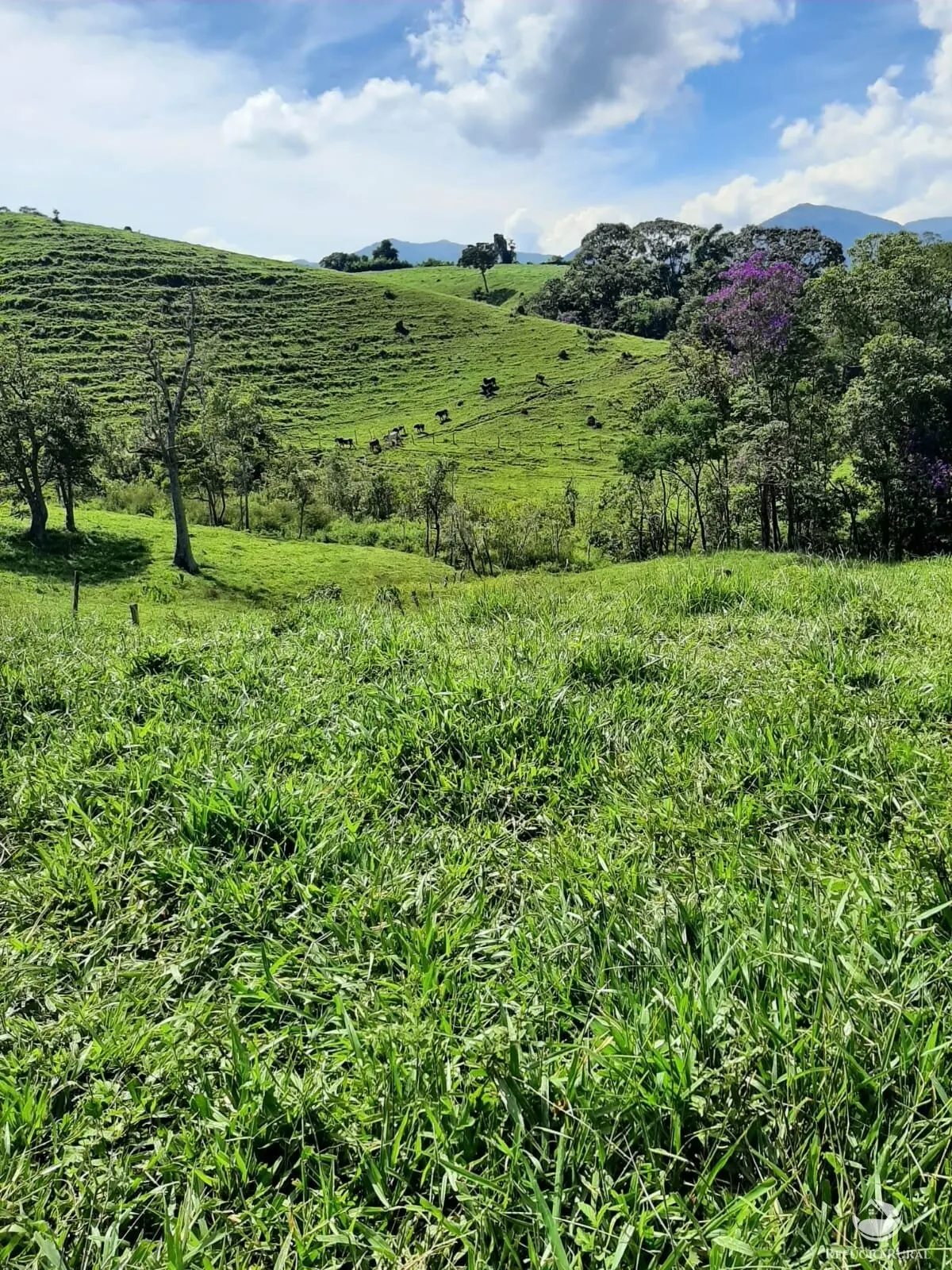 Small farm for sale of 166 acres in Pouso Alto, MG, Brazil