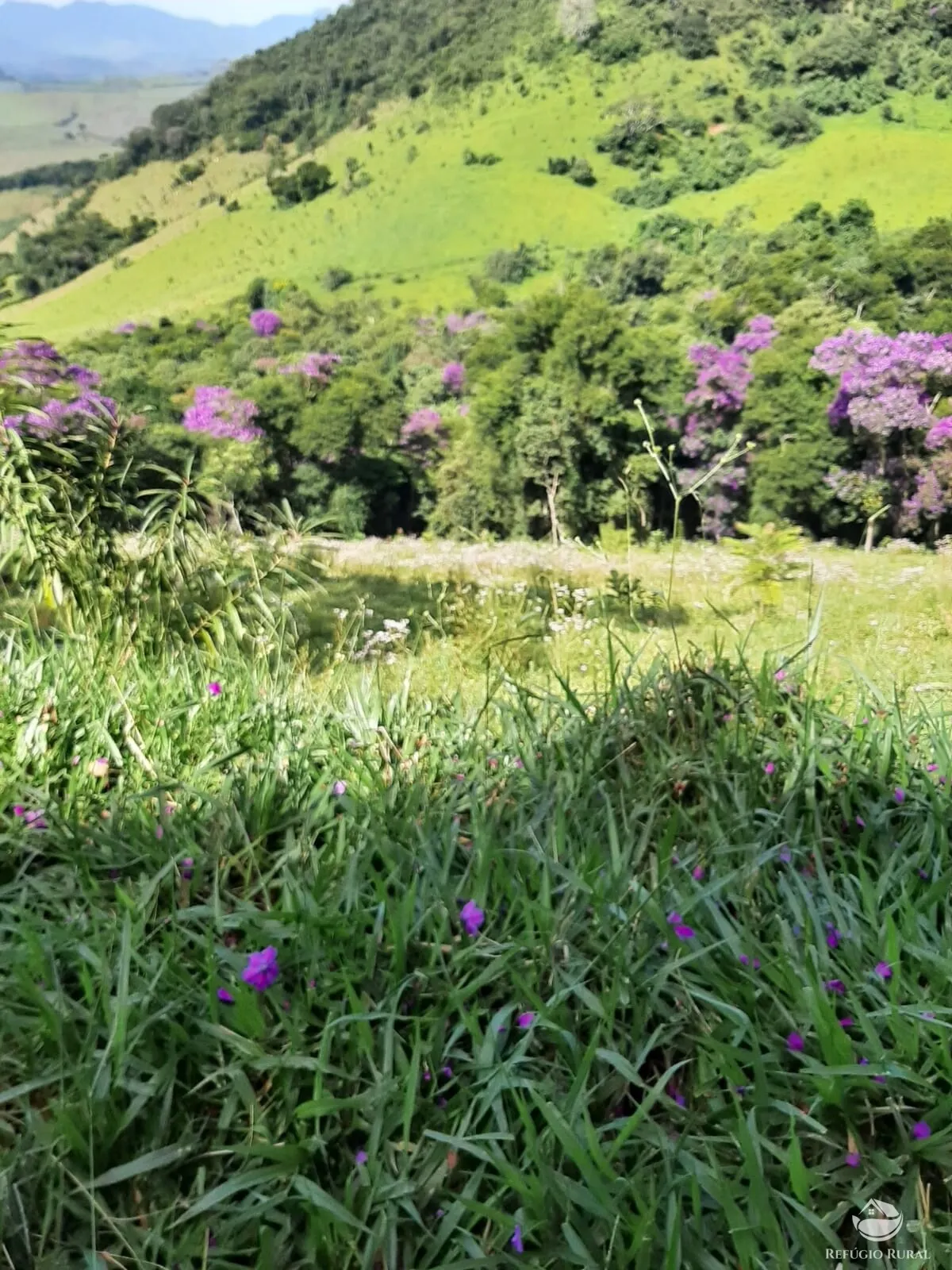 Sítio à venda de 67 ha em Pouso Alto, MG, Brasil