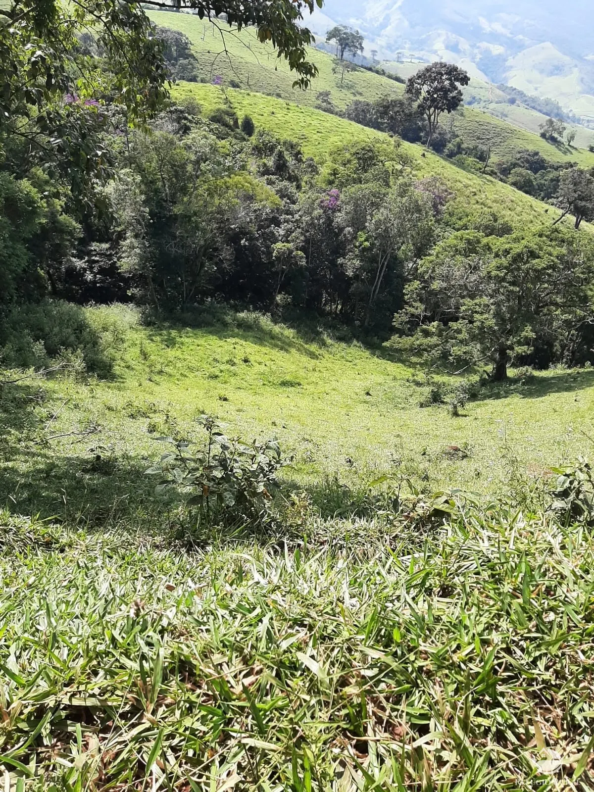 Small farm for sale of 166 acres in Pouso Alto, MG, Brazil