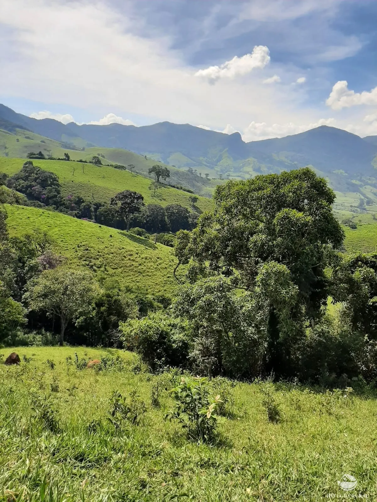 Small farm for sale of 166 acres in Pouso Alto, MG, Brazil