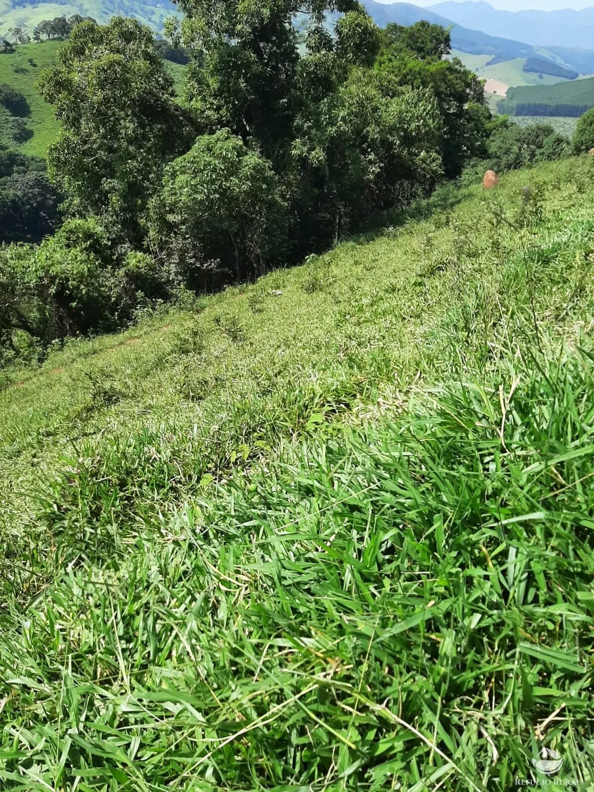 Small farm for sale of 166 acres in Pouso Alto, MG, Brazil