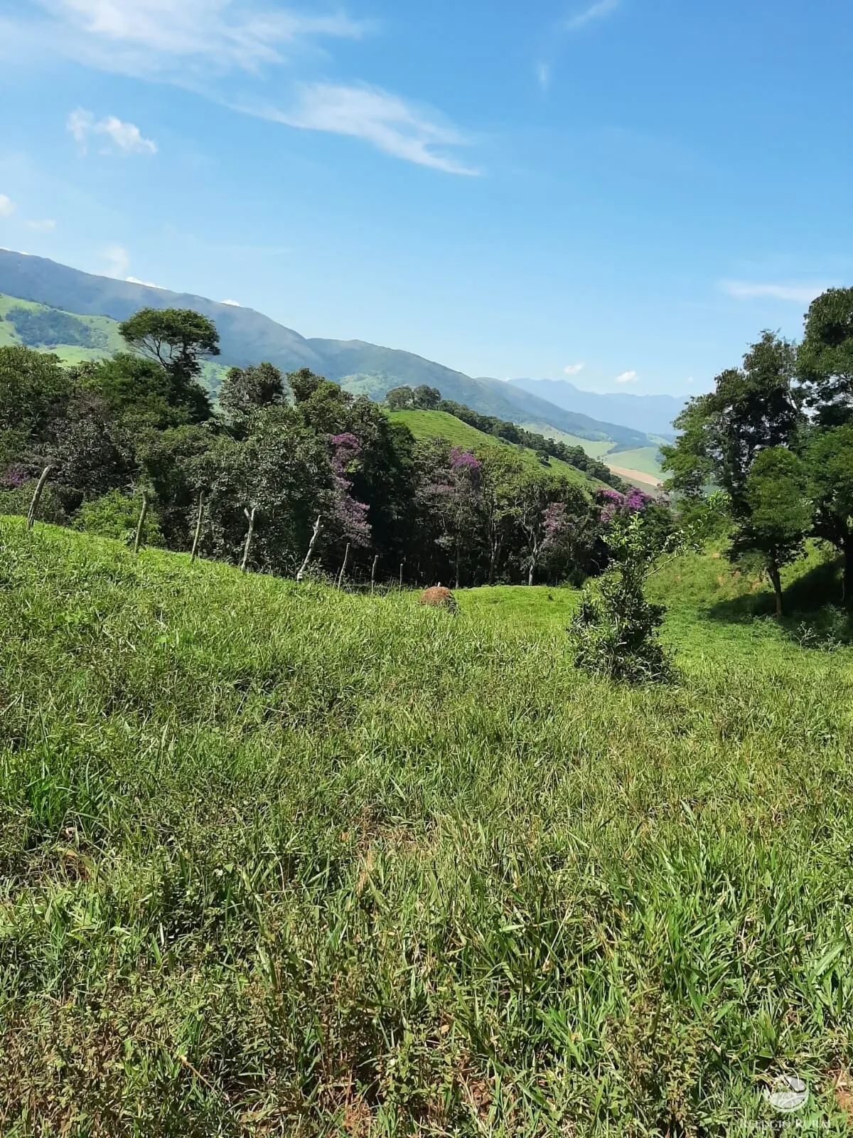 Small farm for sale of 166 acres in Pouso Alto, MG, Brazil