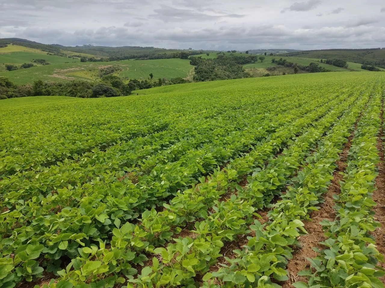 Fazenda à venda de 48 ha em Pilar do Sul, SP, Brasil