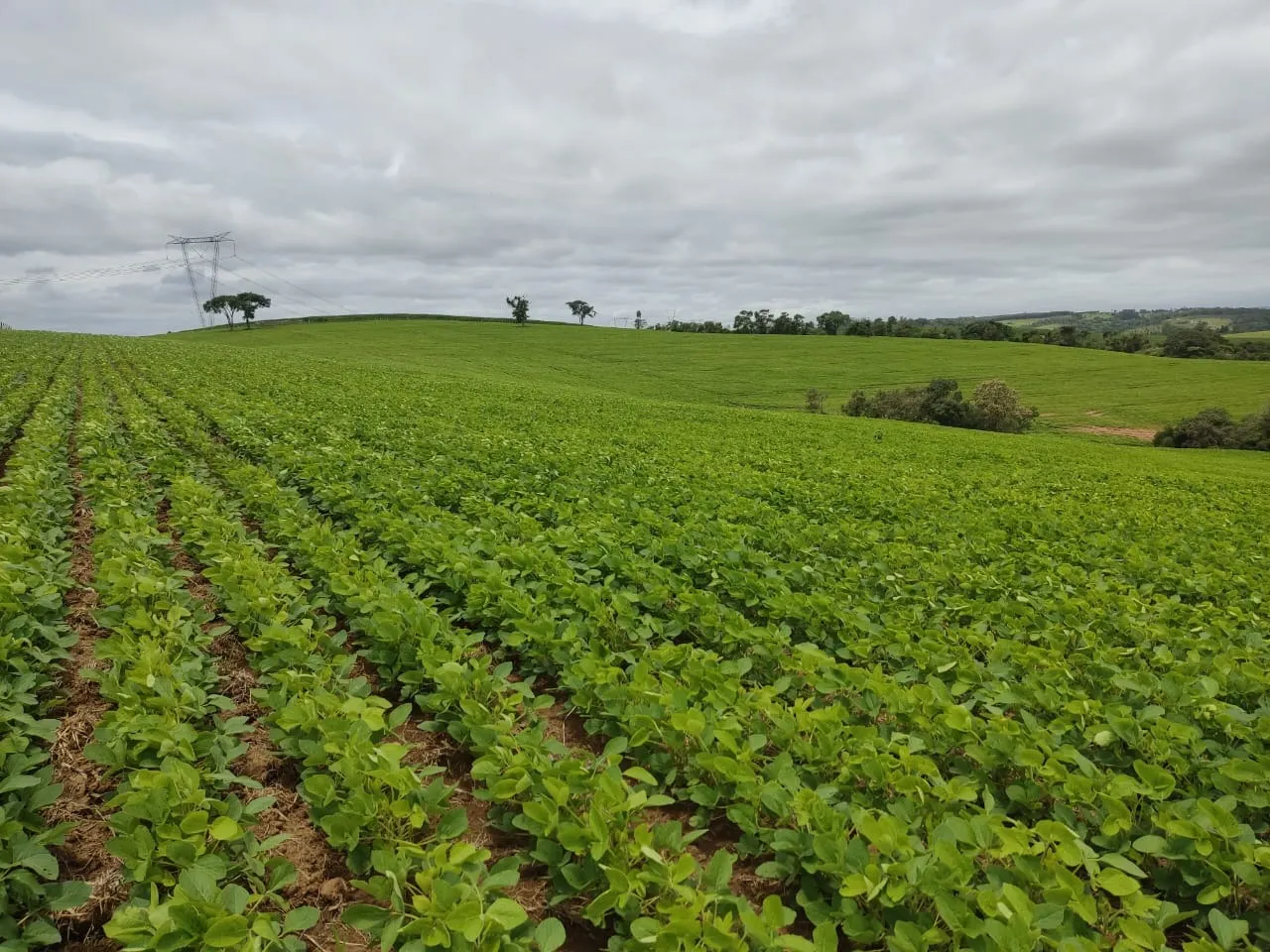 Fazenda à venda de 48 ha em Pilar do Sul, SP, Brasil