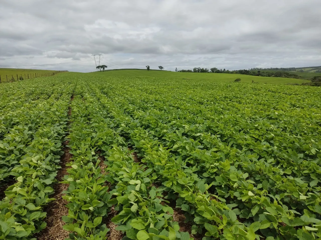Fazenda à venda de 48 ha em Pilar do Sul, SP, Brasil