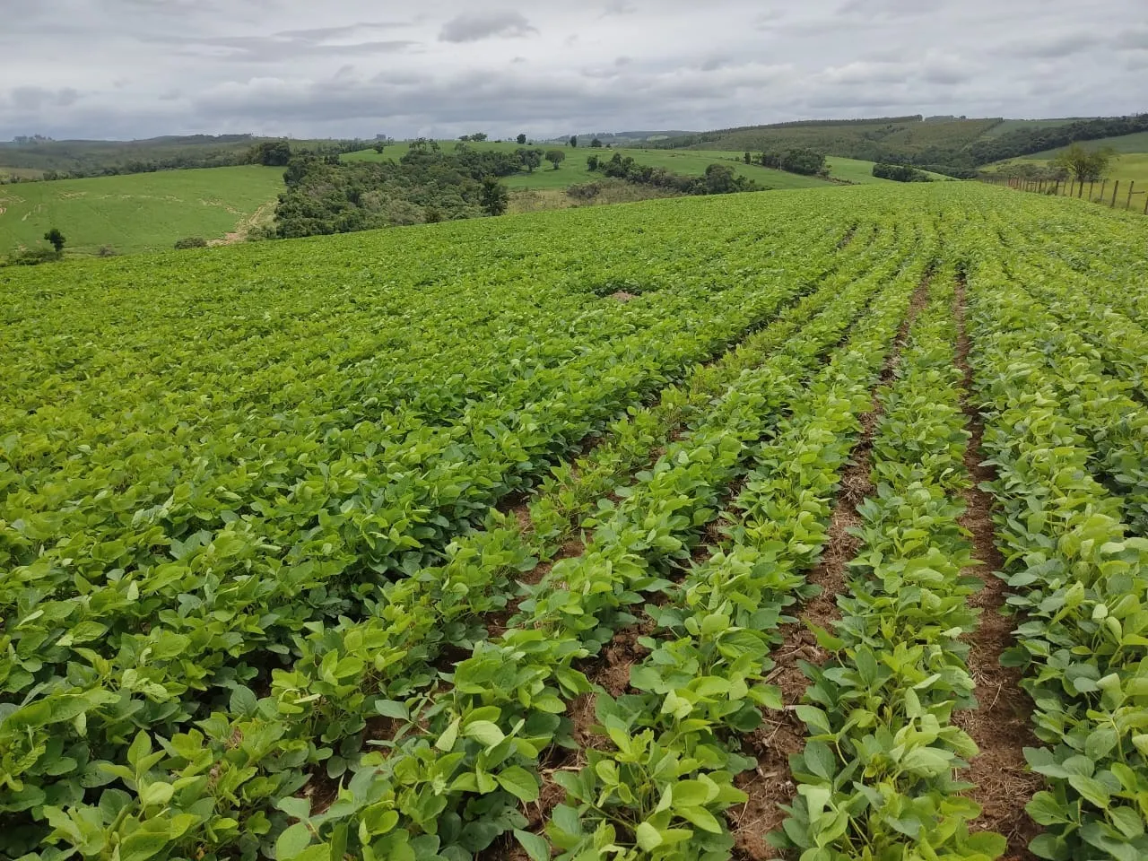 Fazenda à venda de 48 ha em Pilar do Sul, SP, Brasil