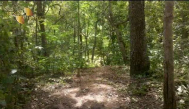 Plot for sale of 11 acres in Cuiabá, MT, Brazil