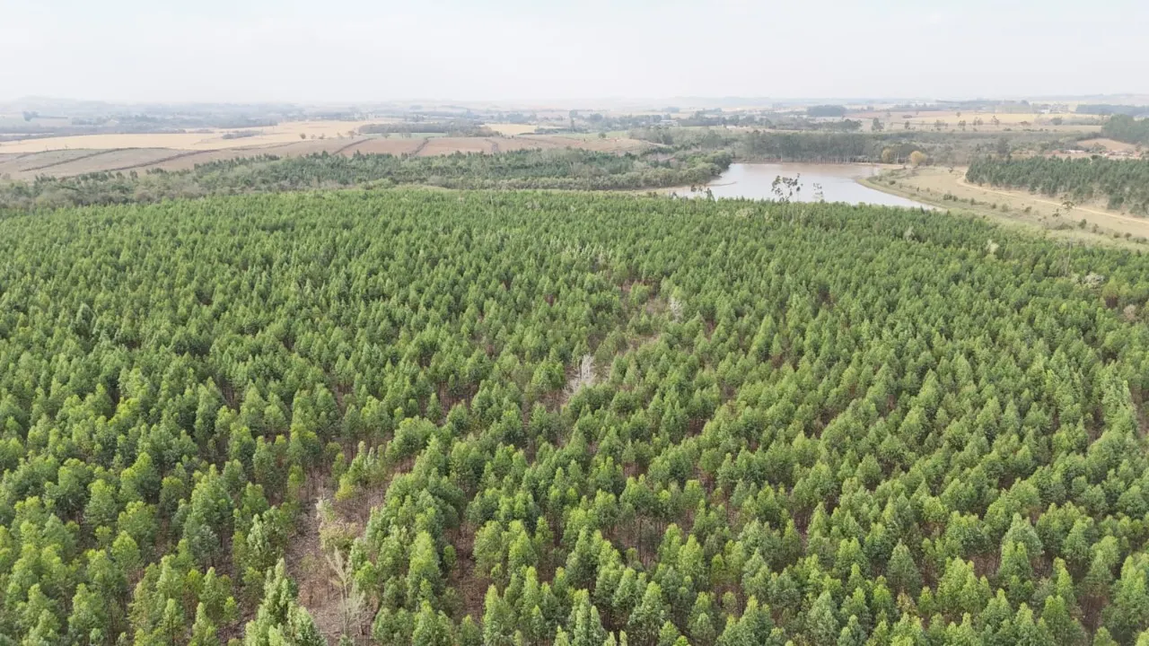 Fazenda à venda de 470 ha em Tatuí, SP, Brasil