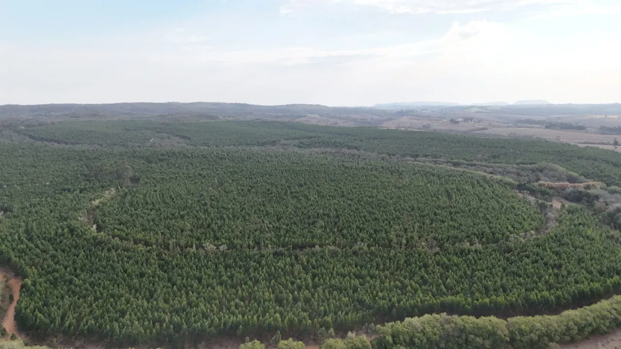 Fazenda à venda de 470 ha em Tatuí, SP, Brasil