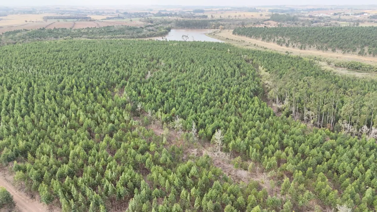 Fazenda à venda de 470 ha em Tatuí, SP, Brasil