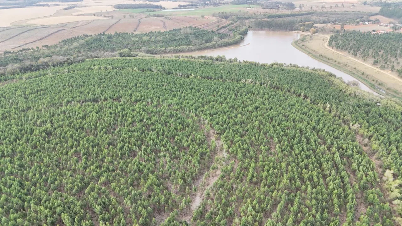 Fazenda à venda de 470 ha em Tatuí, SP, Brasil