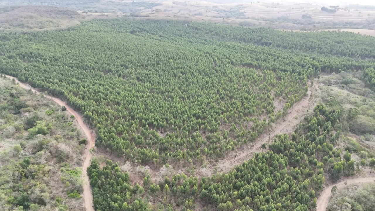 Fazenda à venda de 470 ha em Tatuí, SP, Brasil