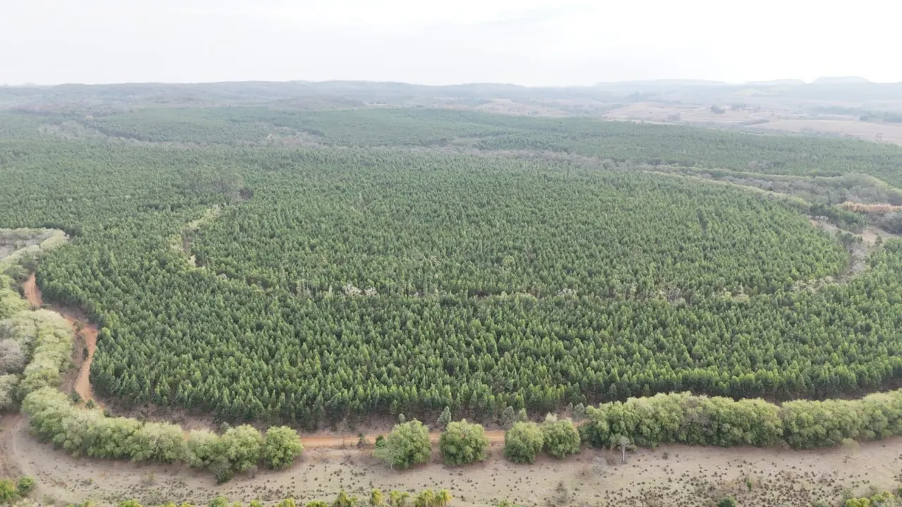 Fazenda à venda de 470 ha em Tatuí, SP, Brasil