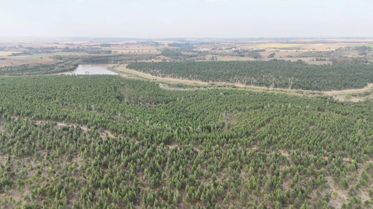 Fazenda à venda de 470 ha em Tatuí, SP, Brasil