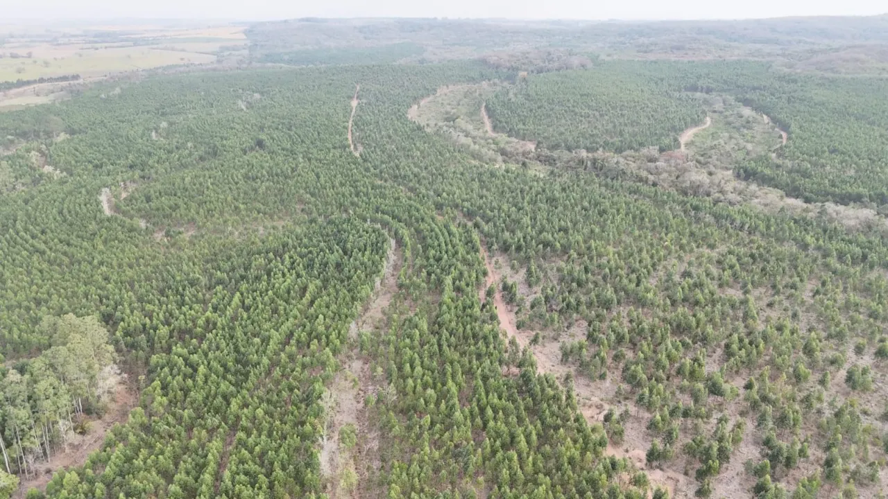 Fazenda à venda de 470 ha em Tatuí, SP, Brasil