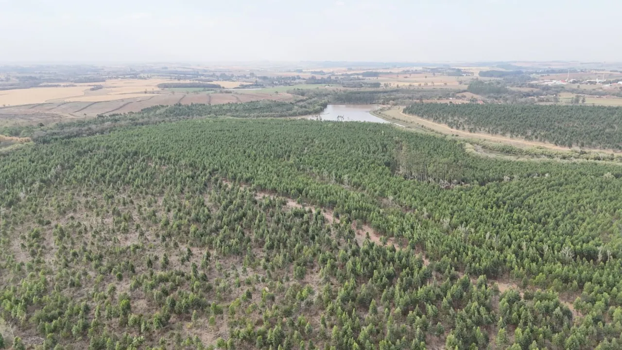 Fazenda à venda de 470 ha em Tatuí, SP, Brasil