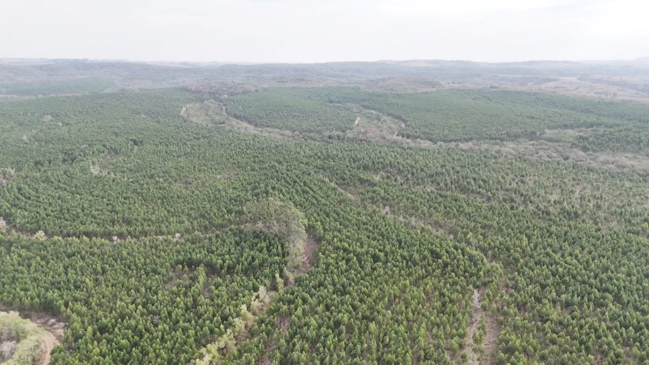 Fazenda à venda de 470 ha em Tatuí, SP, Brasil