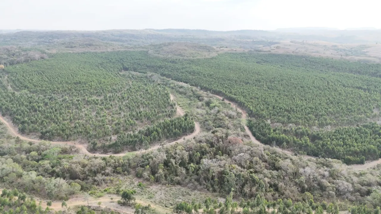 Fazenda à venda de 470 ha em Tatuí, SP, Brasil