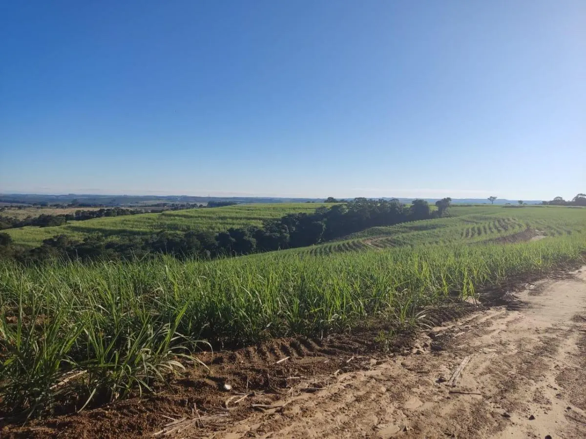Fazenda à venda de 288 ha em Capela do Alto, SP, Brasil