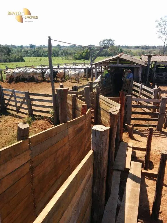 Fazenda à venda de 697 ha em Cuiabá, MT, Brasil