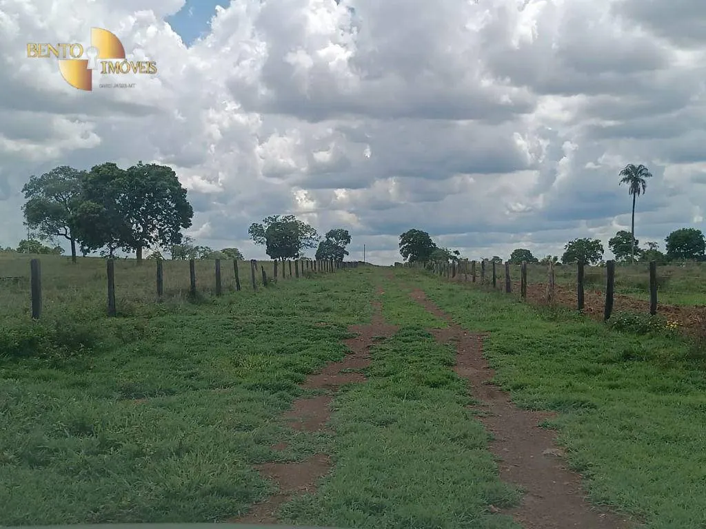 Fazenda à venda de 697 ha em Cuiabá, MT, Brasil