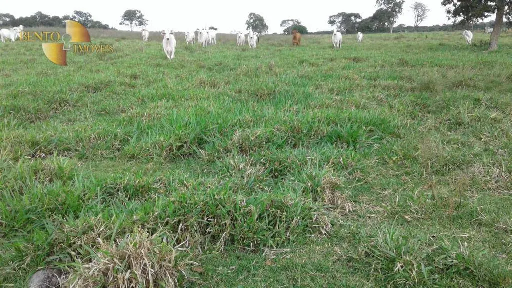 Fazenda à venda de 697 ha em Cuiabá, MT, Brasil