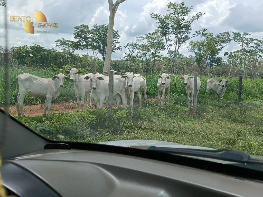 Fazenda à venda de 697 ha em Cuiabá, MT, Brasil