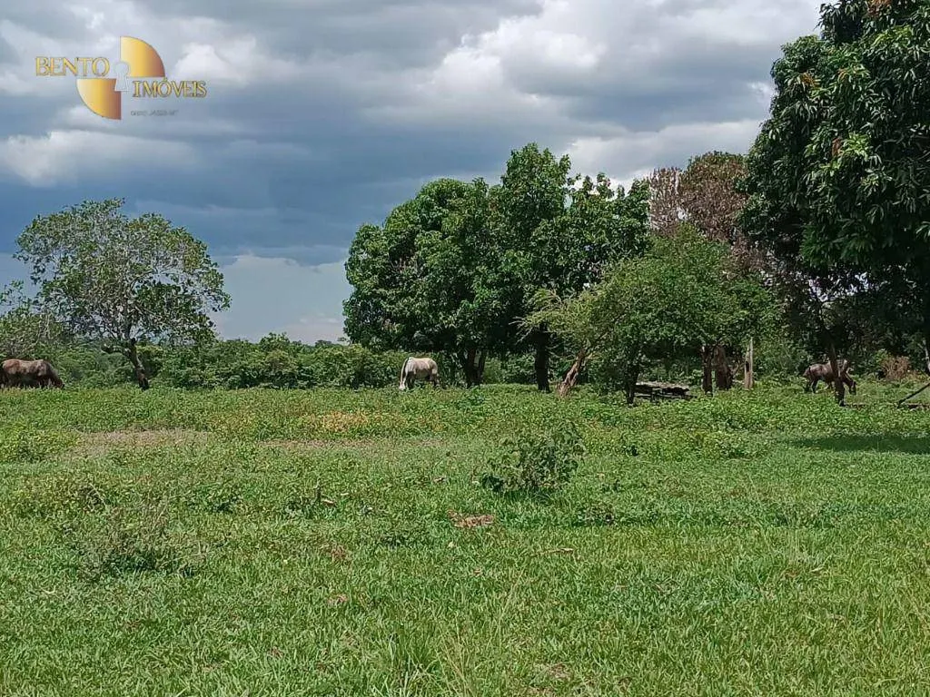 Fazenda à venda de 697 ha em Cuiabá, MT, Brasil