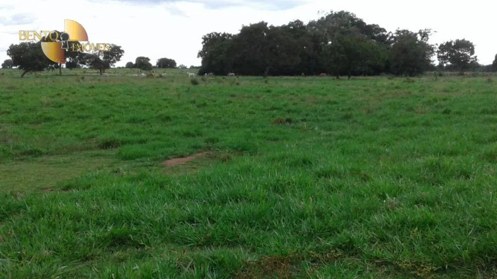 Fazenda à venda de 697 ha em Cuiabá, MT, Brasil