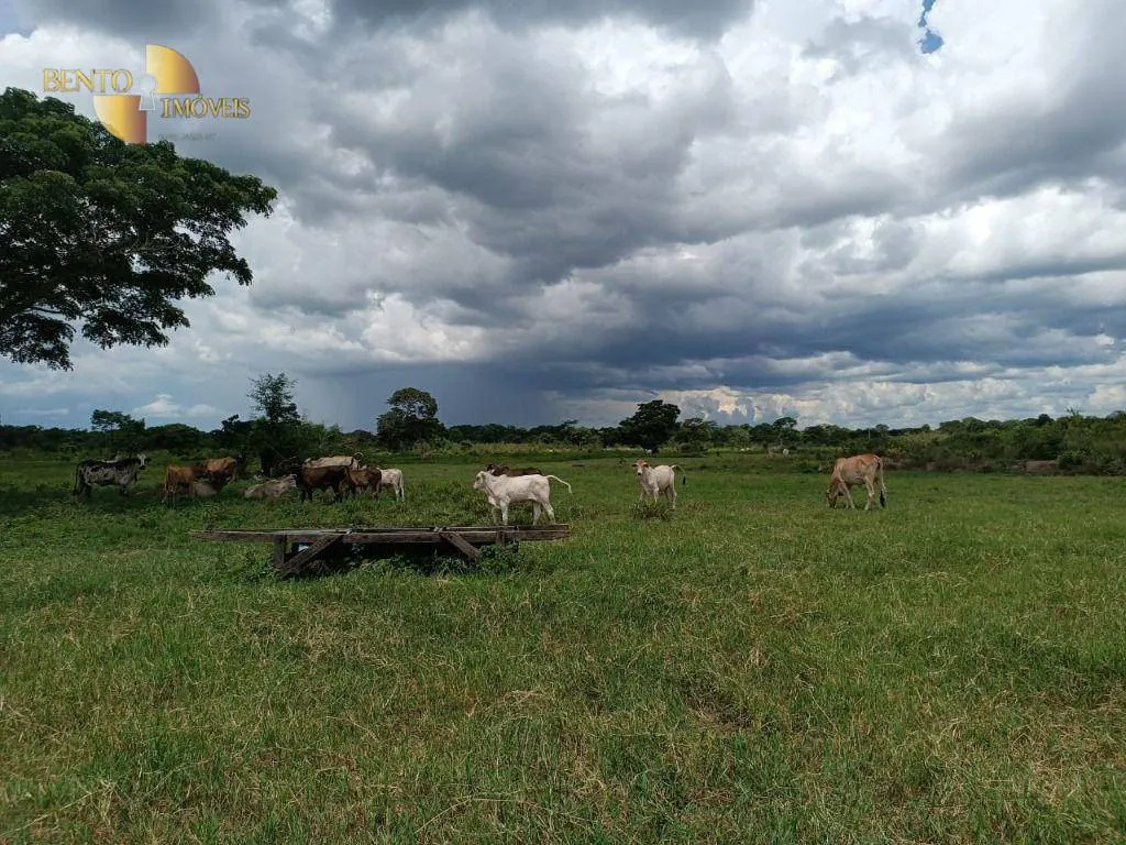 Fazenda à venda de 697 ha em Cuiabá, MT, Brasil