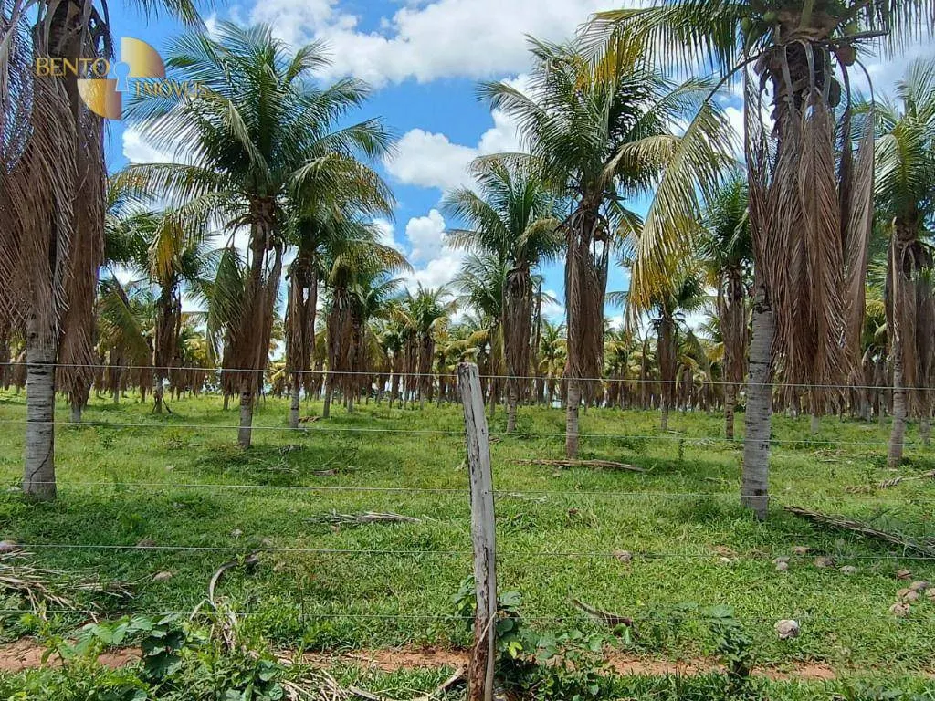 Fazenda à venda de 697 ha em Cuiabá, MT, Brasil