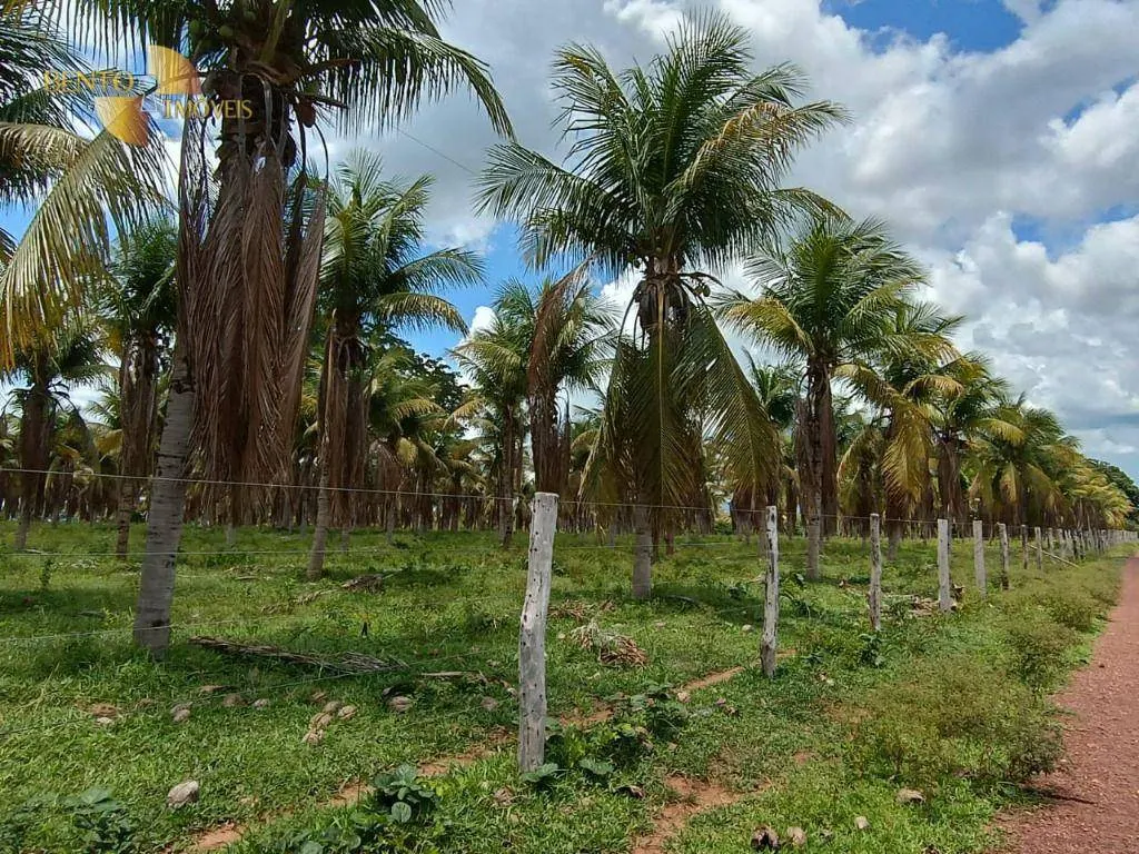 Fazenda à venda de 697 ha em Cuiabá, MT, Brasil