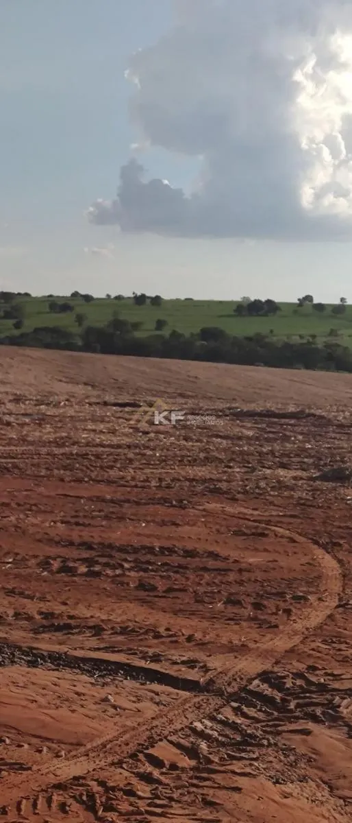 Fazenda à venda de 2.708 ha em São José do Rio Preto, SP, Brasil