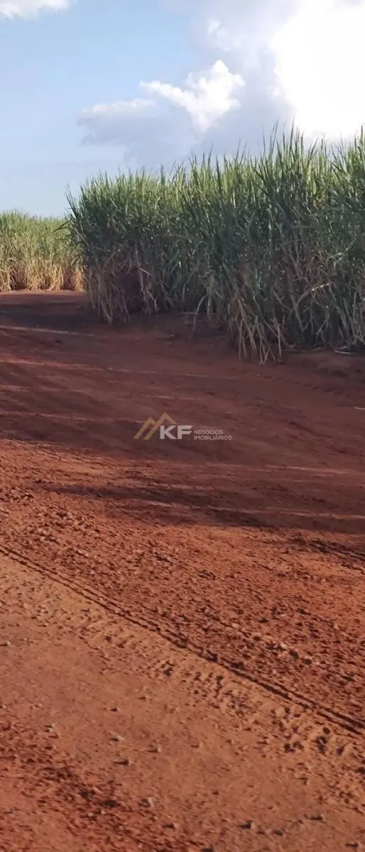 Fazenda à venda de 2.708 ha em São José do Rio Preto, SP, Brasil