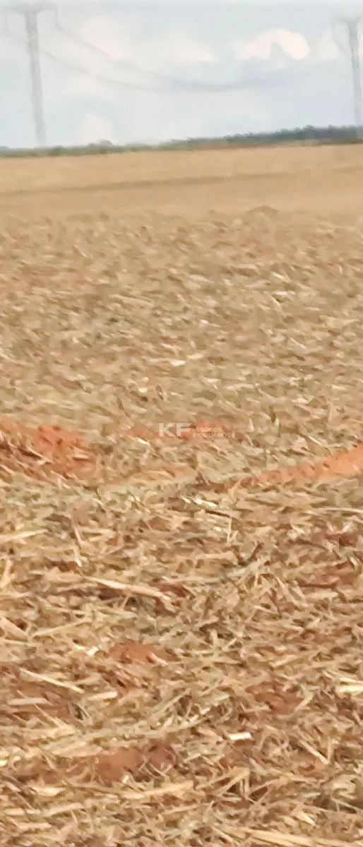 Fazenda à venda de 2.708 ha em São José do Rio Preto, SP, Brasil