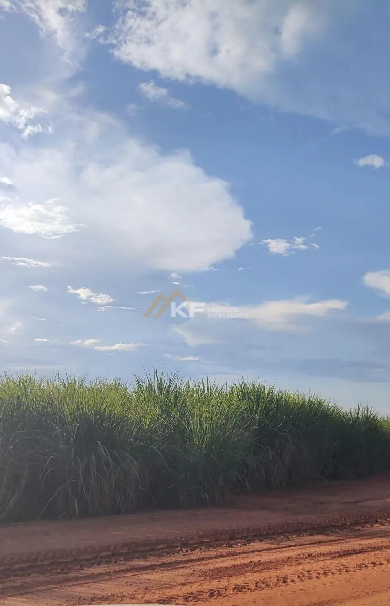 Fazenda à venda de 2.708 ha em São José do Rio Preto, SP, Brasil