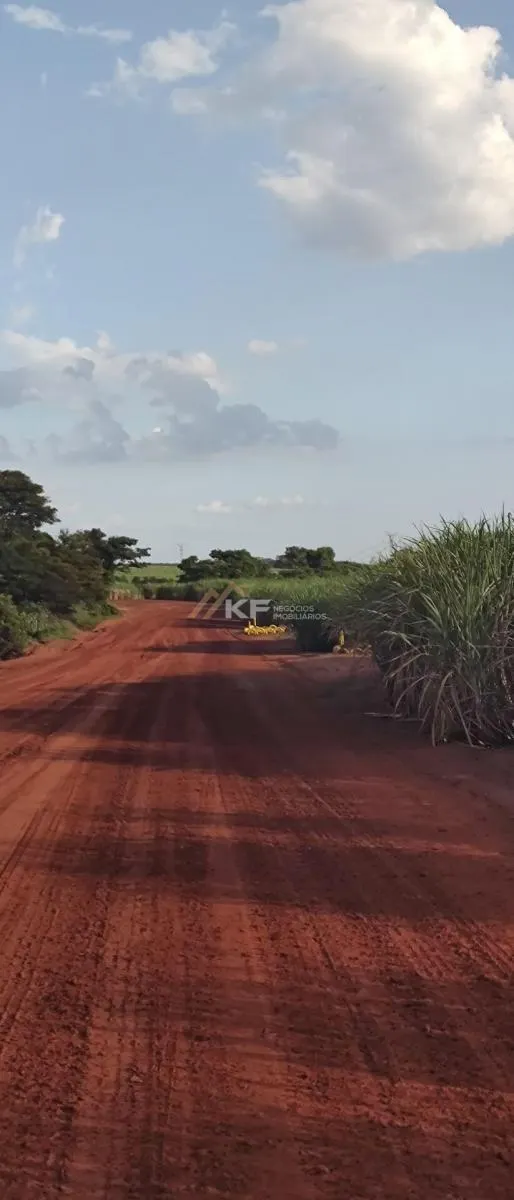 Fazenda à venda de 2.708 ha em São José do Rio Preto, SP, Brasil