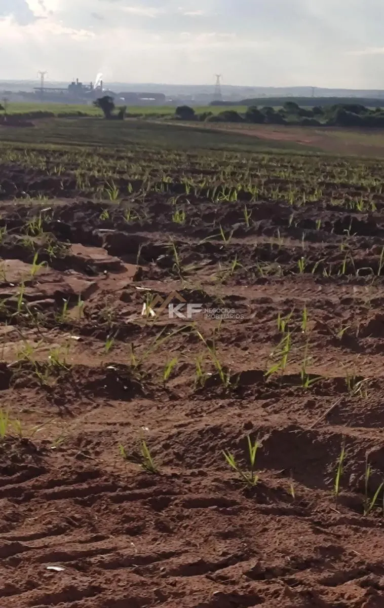 Fazenda à venda de 2.708 ha em São José do Rio Preto, SP, Brasil