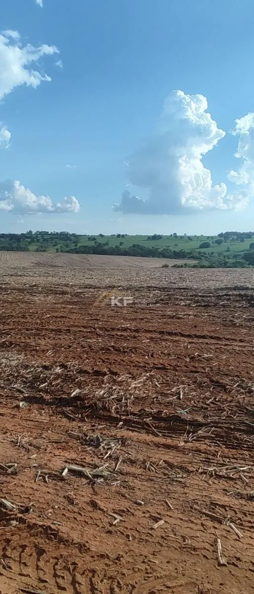 Fazenda à venda de 2.708 ha em São José do Rio Preto, SP, Brasil