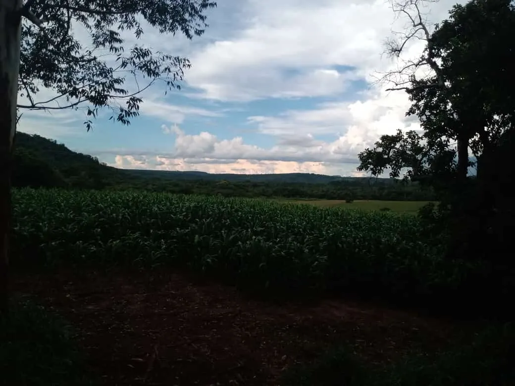Small farm for sale of 84 acres in Angatuba, SP, Brazil