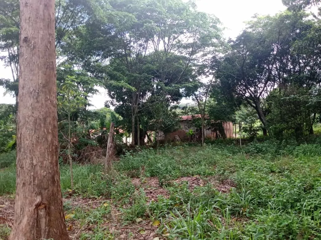 Small farm for sale of 84 acres in Angatuba, SP, Brazil