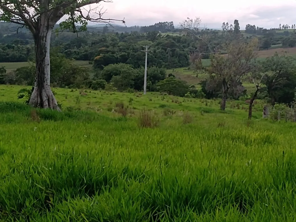 Small farm for sale of 84 acres in Angatuba, SP, Brazil