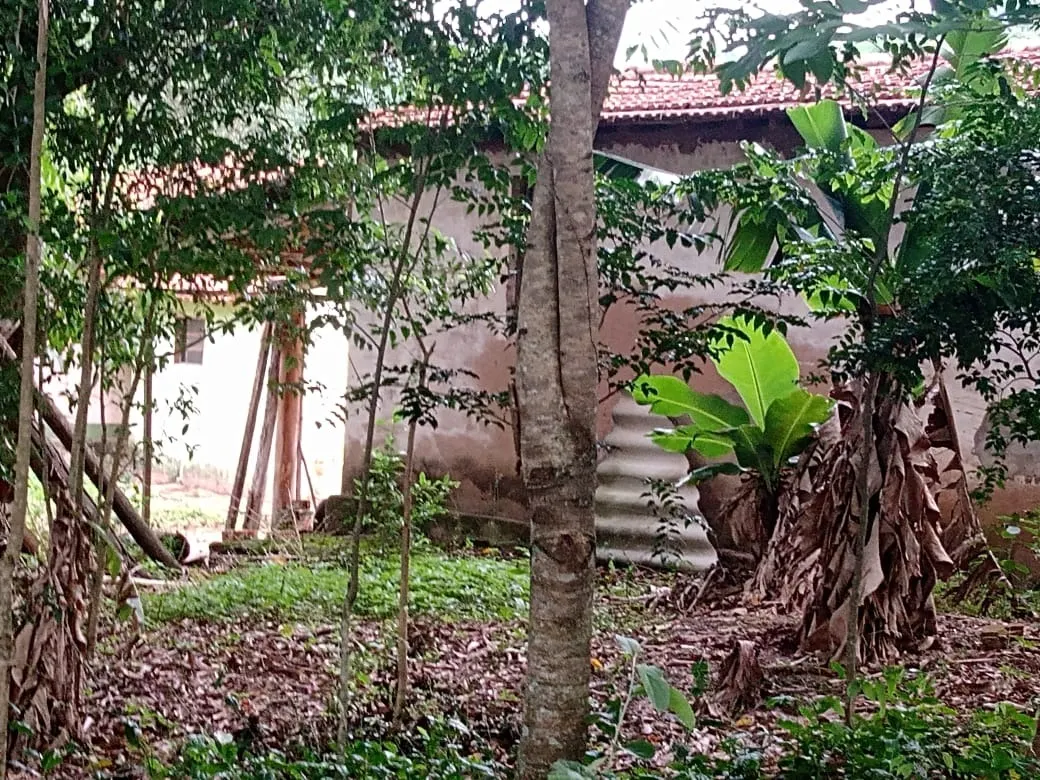 Small farm for sale of 84 acres in Angatuba, SP, Brazil