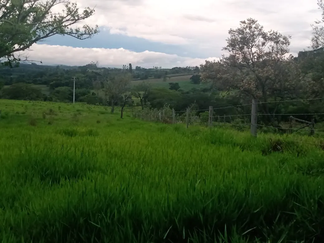 Small farm for sale of 84 acres in Angatuba, SP, Brazil