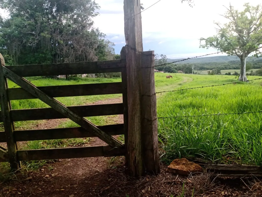Small farm for sale of 84 acres in Angatuba, SP, Brazil