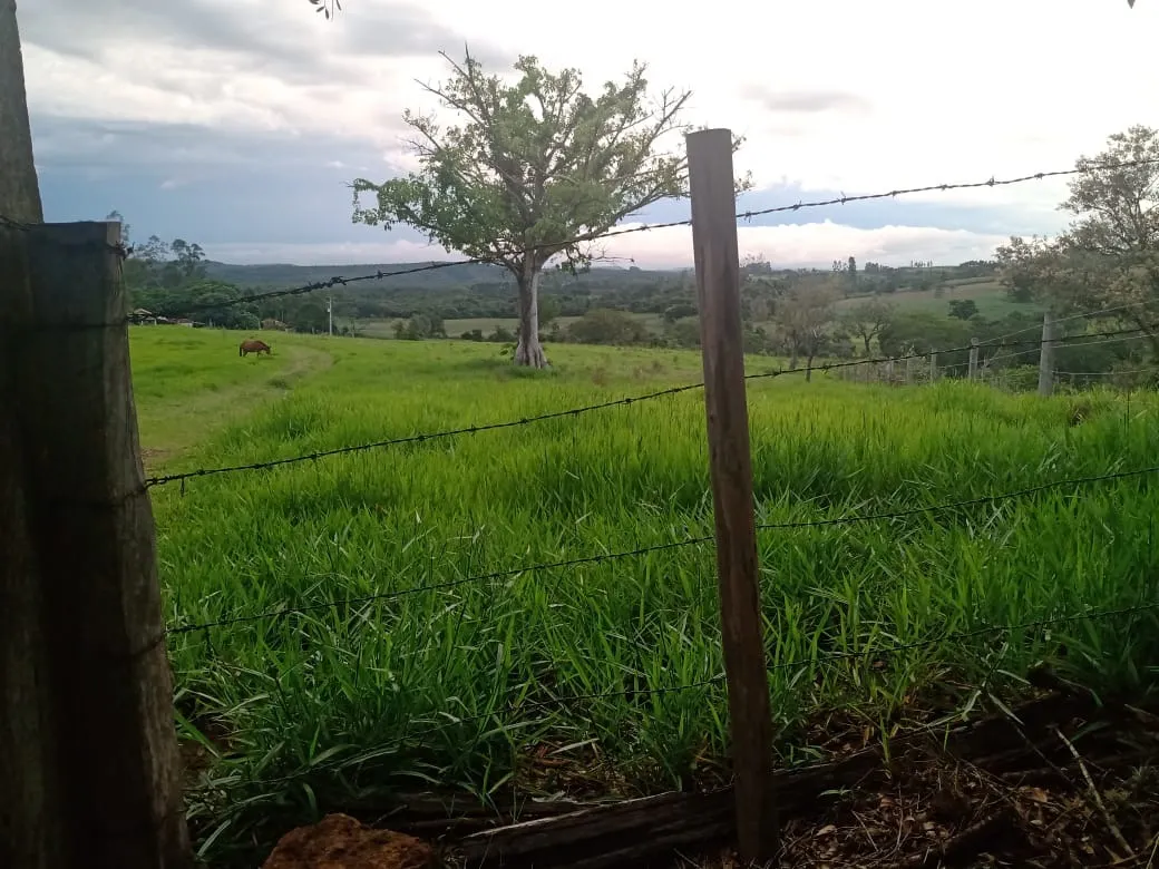 Small farm for sale of 84 acres in Angatuba, SP, Brazil