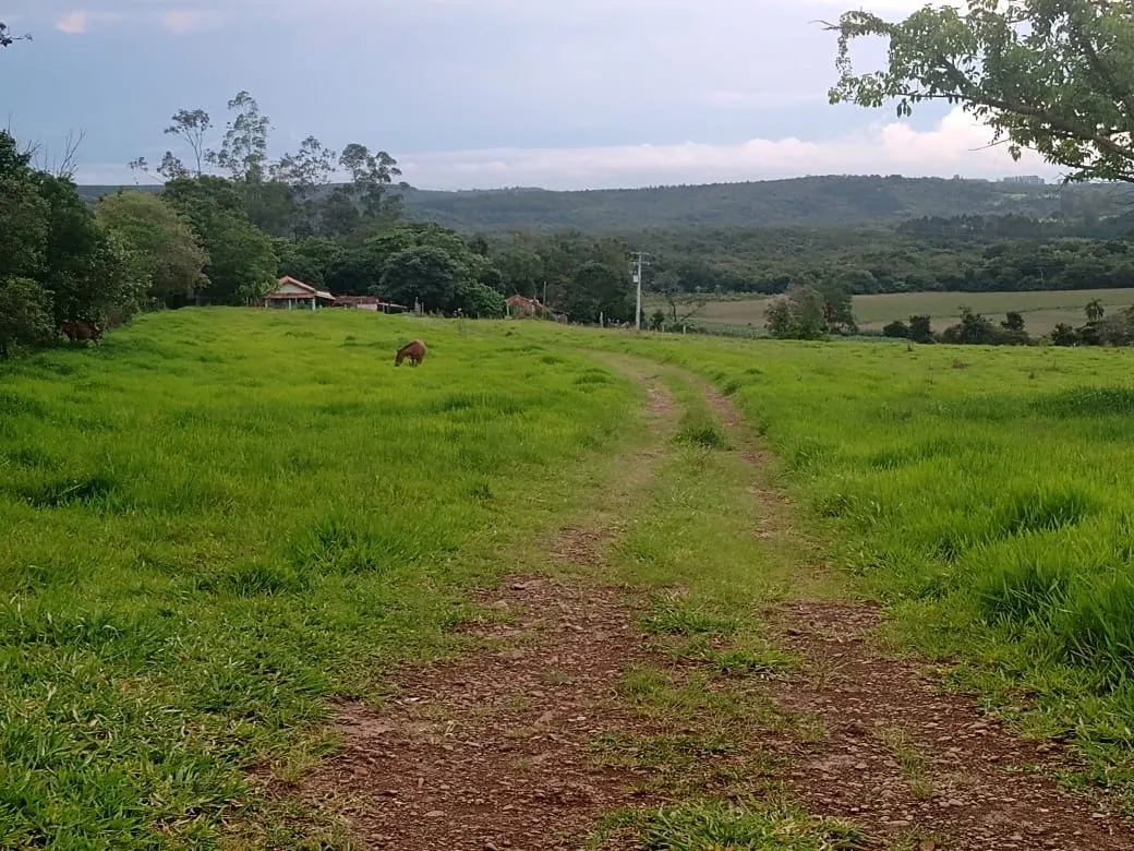 Small farm for sale of 84 acres in Angatuba, SP, Brazil